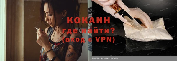 гидра Аркадак