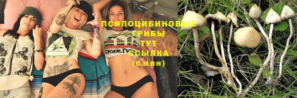 гидра Аркадак