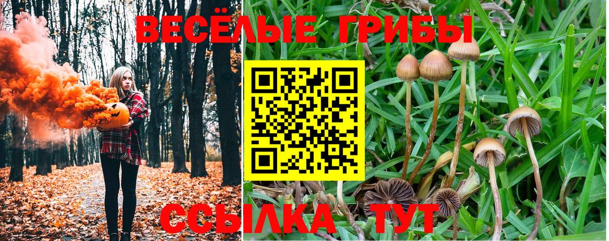 Галлюциногенные грибы Psilocybe  Вход с VPN  Саров 