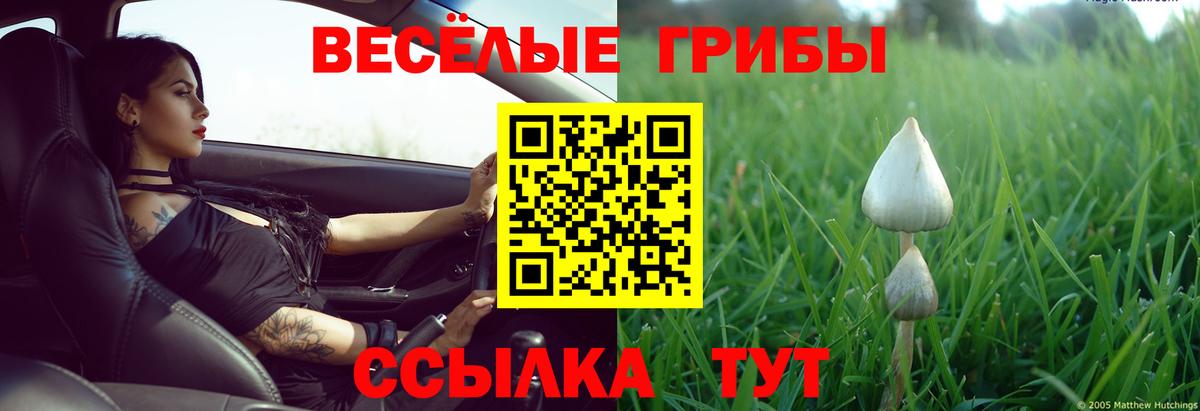 Псилоцибиновые грибы мухоморы Саров